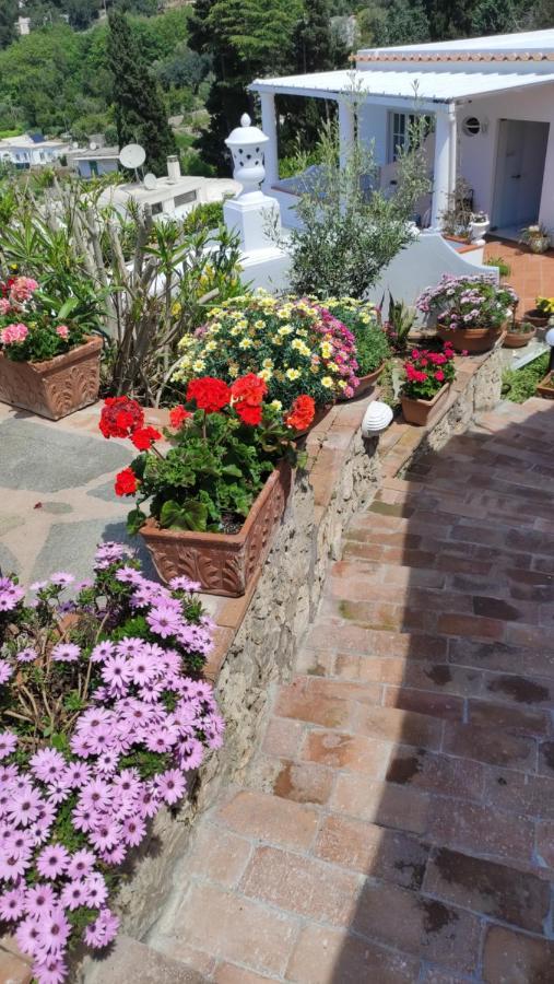 B&B Villa Cristina Anacapri  Exterior foto