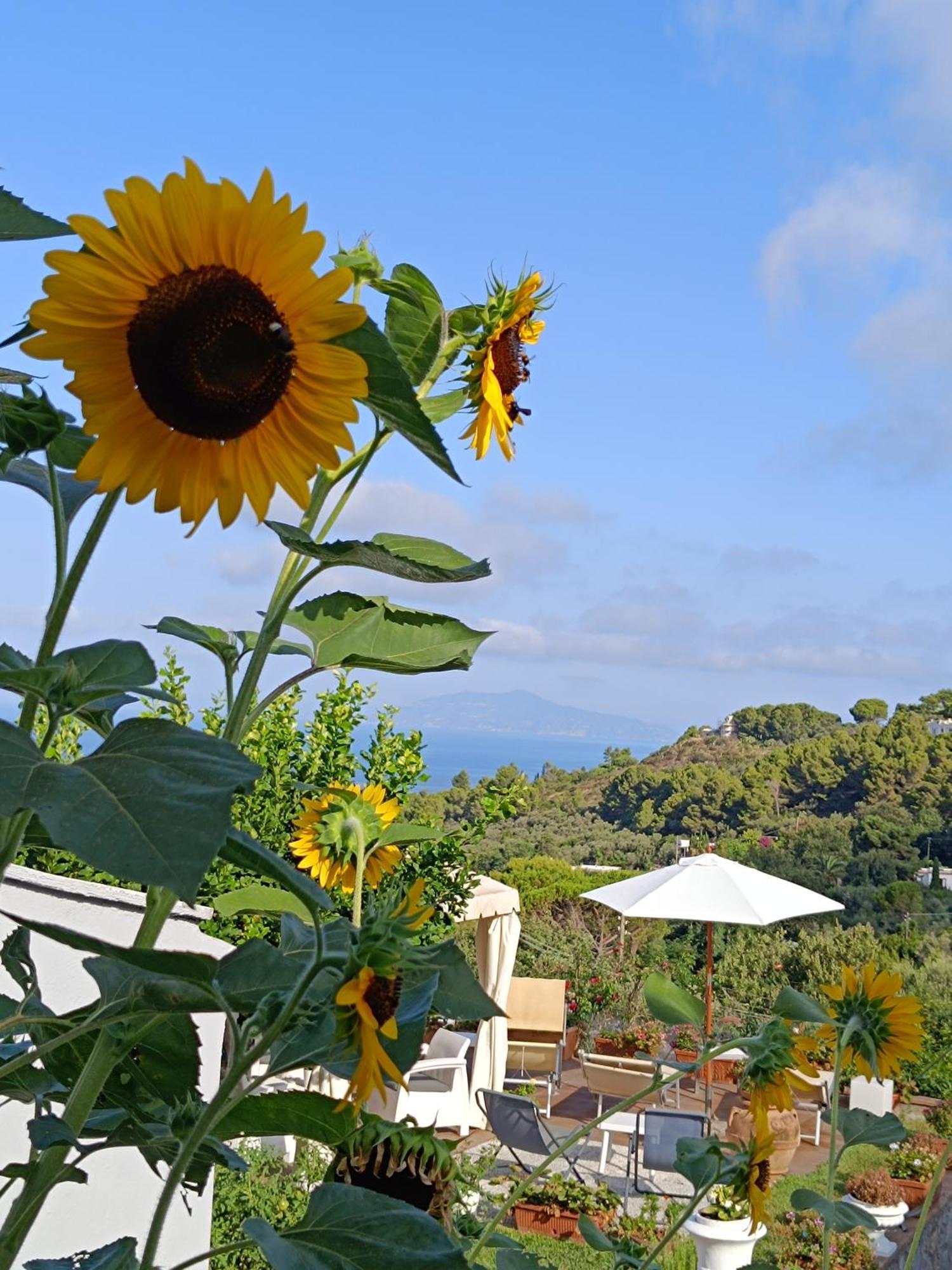 B&B Villa Cristina Anacapri  Exterior foto