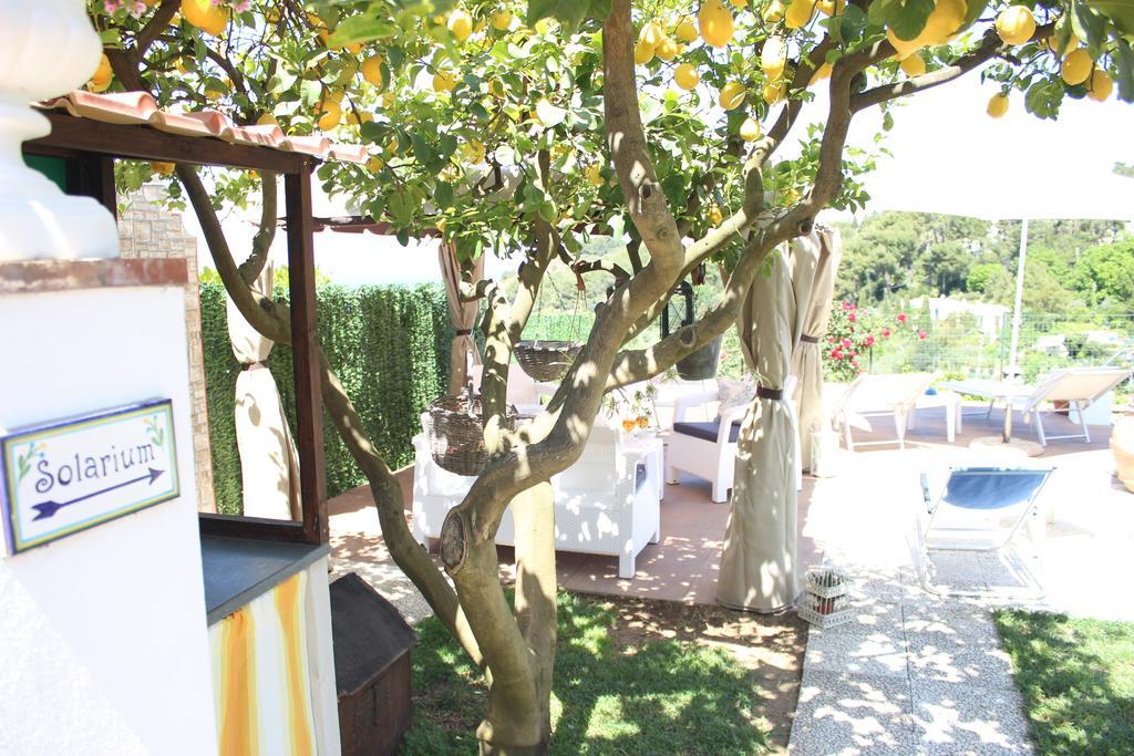 B&B Villa Cristina Anacapri  Exterior foto